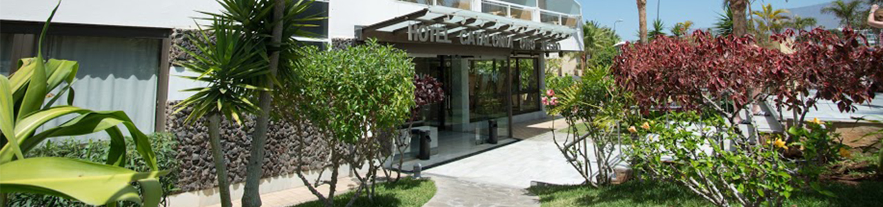 highlight hello catalonia oro negro