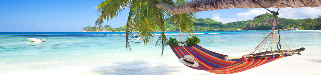 highlight 6 dominicano