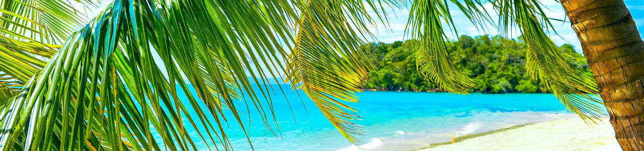 super caribe highlight
