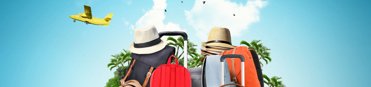 highlight maravilloso certificate